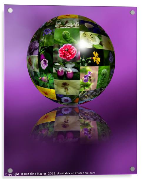 Flower montage sphere Acrylic by Rosaline Napier
