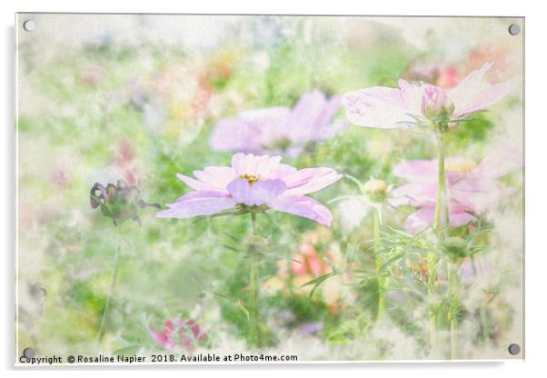 Summer wildflowers landscape Acrylic by Rosaline Napier