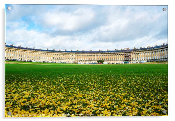 Royal Crescent Bath and fallen leaves Acrylic by Rosaline Napier