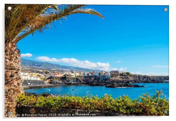 Landscape view of Alcala Tenerife Acrylic by Rosaline Napier