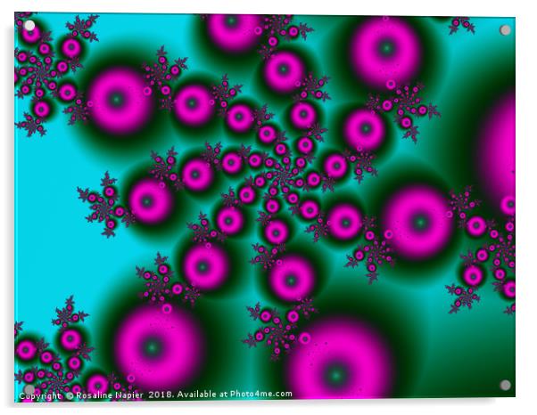 Pink orbs spiral digital art Acrylic by Rosaline Napier