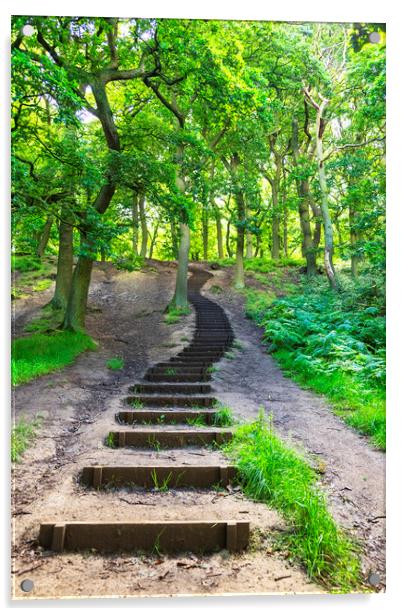 Steps into the woods Acrylic by Rosaline Napier