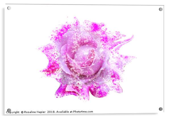 Pink rose heavy paint splatter effect Acrylic by Rosaline Napier