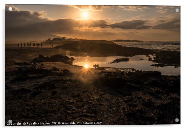Fernandina Island setting sun and lens flare Acrylic by Rosaline Napier