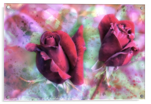 Two red roses with abstract background Acrylic by Rosaline Napier