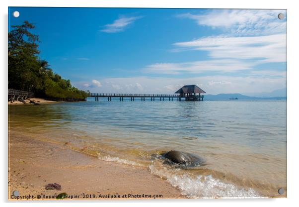 Borneo Beach Acrylic by Rosaline Napier