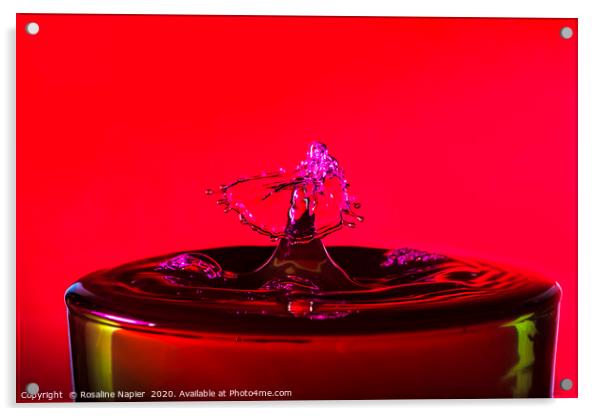 Water drop red background Acrylic by Rosaline Napier