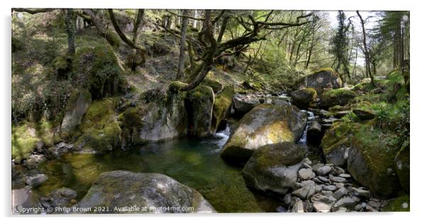 Rocky Stream, Artist Valley in Wales - Panorama  Acrylic by Philip Brown