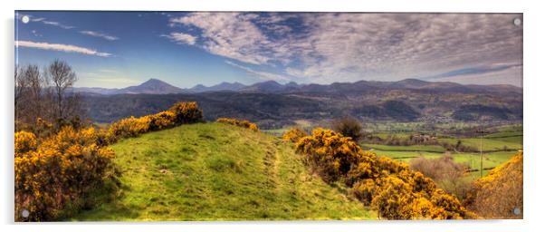 Snowdonia, The Picnic Spot of Dreams - Panorama Acrylic by Philip Brown