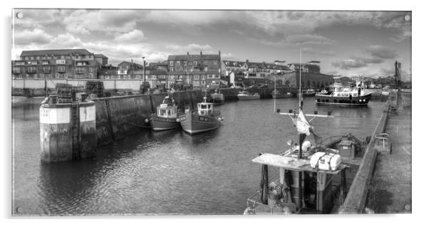 Fishing Boats at Seahouses Harbour - Panorama Acrylic by Philip Brown