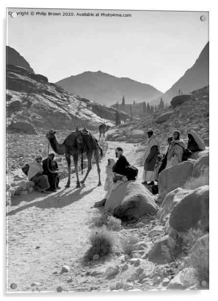 100 Year old Egyptian Photo - Bedouins in Desert. Acrylic by Philip Brown