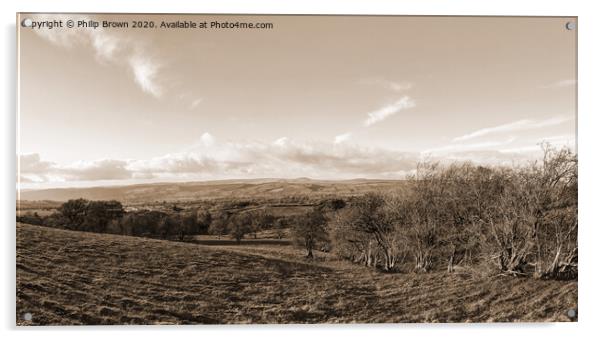 Shropshire Autumn Landscape, Sepia Panorama Acrylic by Philip Brown