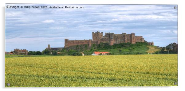 Bamburgh Castle in Northumberland, Panorama Acrylic by Philip Brown