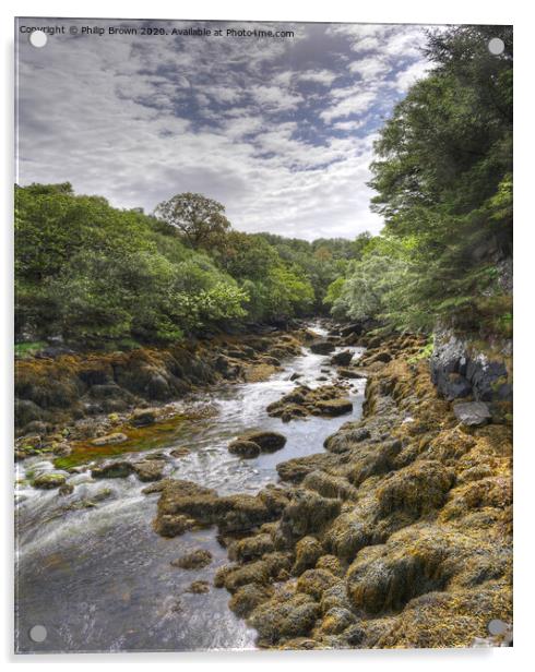 Badachro Stream, Scotland Acrylic by Philip Brown