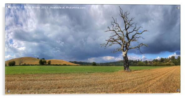 The Lonely Tree - Panorama 1 Acrylic by Philip Brown