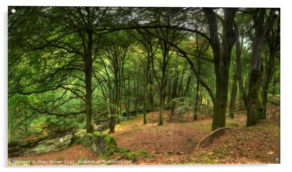 Coed-Y-Brennin Forest, Dolgellau, Wales Acrylic by Philip Brown