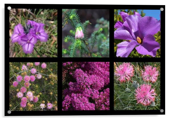 Collection of Australian wildflowers in purple Acrylic by Ines Porada