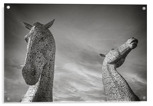 Kelpies in Black and White Acrylic by Duncan Loraine