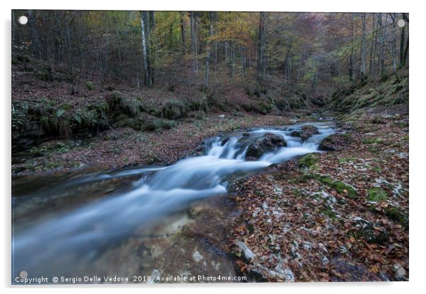 the Arzino stream  Acrylic by Sergio Delle Vedove