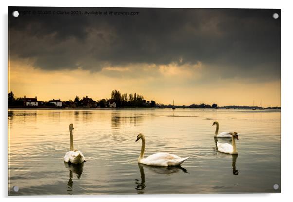 Swans at Bosham Harbour Acrylic by Stuart C Clarke