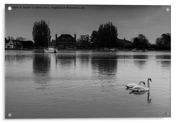 Swans at Bosham Harbour Acrylic by Stuart C Clarke
