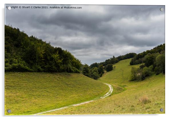 Arundel Park Acrylic by Stuart C Clarke