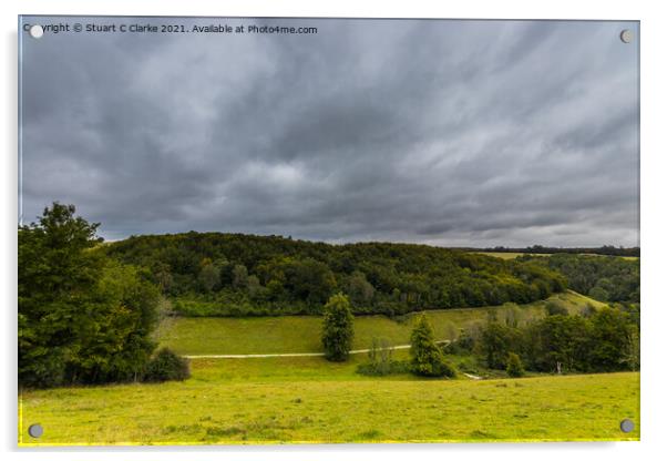 Arundel Park Acrylic by Stuart C Clarke