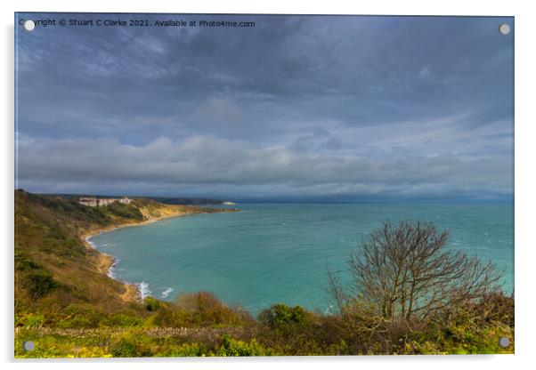 Durlston bay Acrylic by Stuart C Clarke