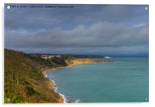 Durlston bay Acrylic by Stuart C Clarke