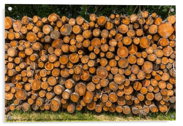 Logs Acrylic by Stuart C Clarke