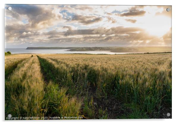 Sunrise over the barley Acrylic by Kate Whiston