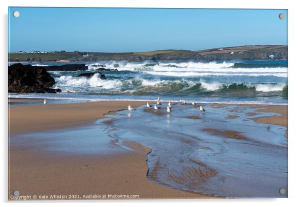 Seagulls waiting for the waves Acrylic by Kate Whiston