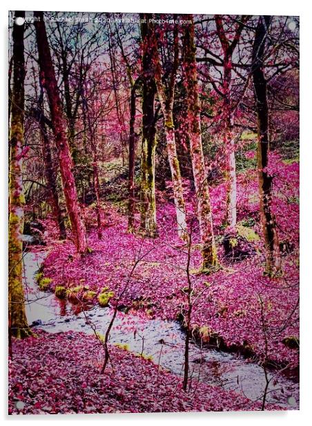 Derbyshire in December  Acrylic by Rachael Smith