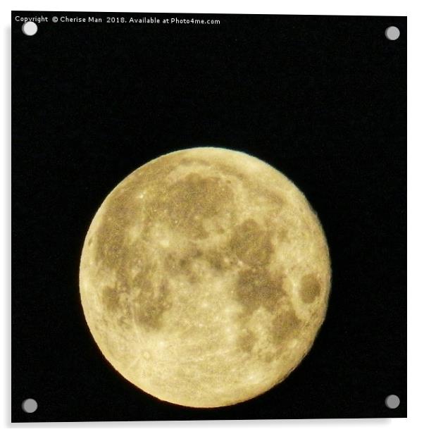 Sepia Full Moon At Night Framed Photo Print Acrylic by Cherise Man