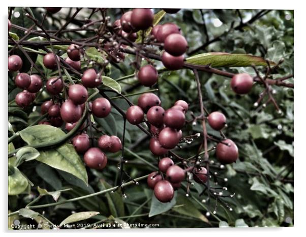 Red berries doomsday   Acrylic by Cherise Man