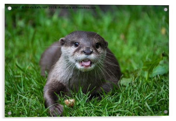 Cute otter laying on the grass Acrylic by NKH10 Photography