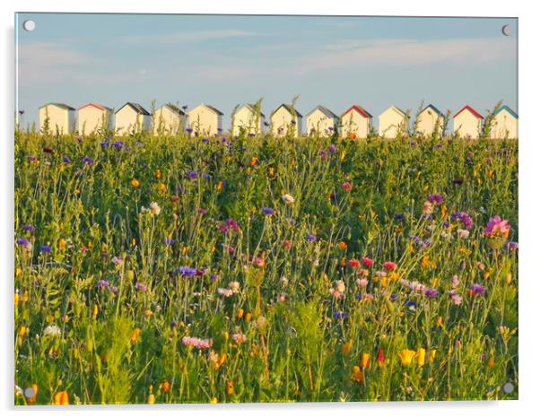 Wildflowers and beach huts Acrylic by Carolyn Brown-Felpts