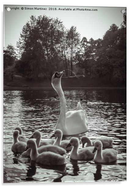 A Swan and Cygnets on Sefton Park Lake, Liverpool. Acrylic by Simon Martinez