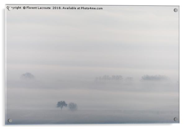 Trees in the mist Acrylic by Florent Lacroute