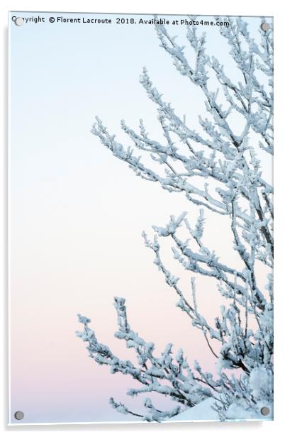 Branches covered in snow with pastel colored sky Acrylic by Florent Lacroute