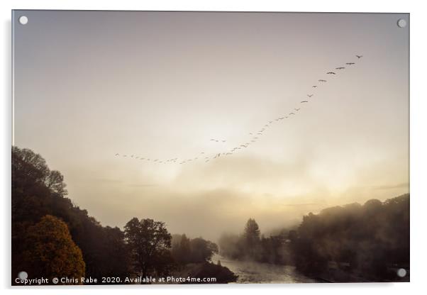 Geese migrating over Pitlochry on foggy morning Acrylic by Chris Rabe