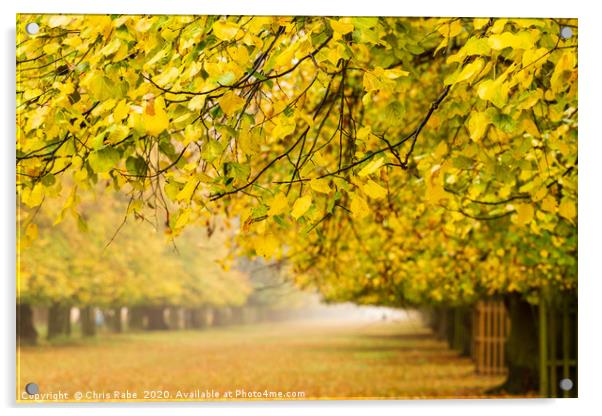 Bushy Park in autumn colours Acrylic by Chris Rabe