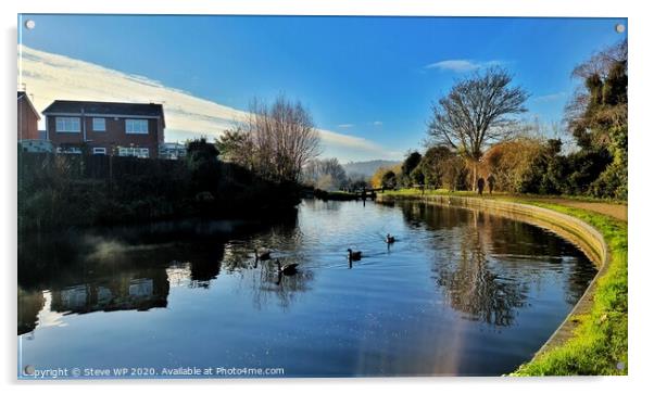 Geese Enjoying the Canal Acrylic by Steve WP