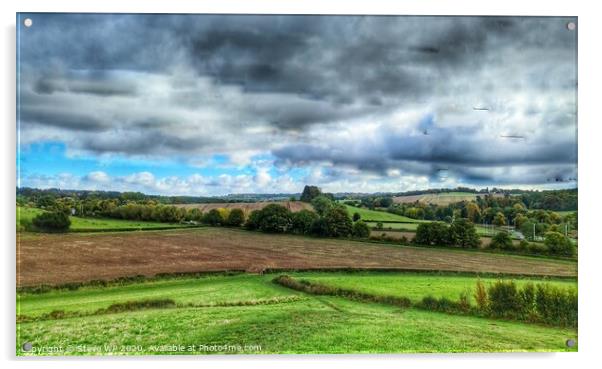 Grey skies and green fields Acrylic by Steve WP