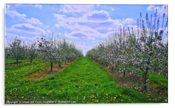 Summer Orchards Acrylic by Steve WP