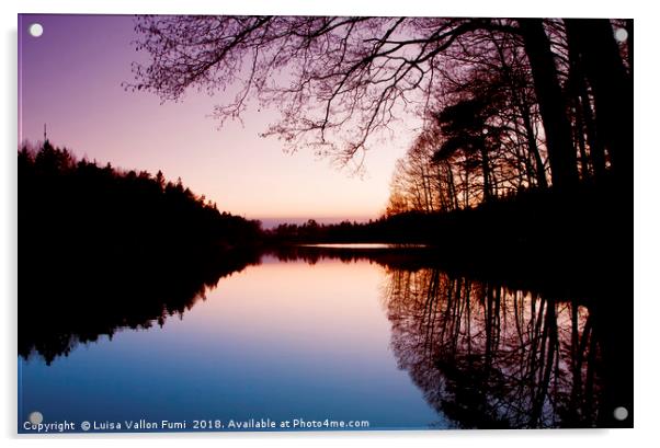 Sweden. Small lake at dusk with trees reflection Acrylic by Luisa Vallon Fumi