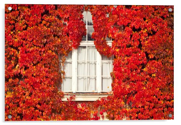 White window framed by red leaves Acrylic by Luisa Vallon Fumi