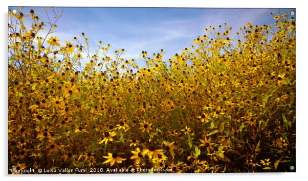 Summer yellow daisies Acrylic by Luisa Vallon Fumi