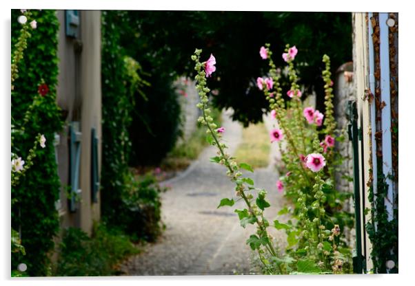 small alley with hollyhock Acrylic by youri Mahieu