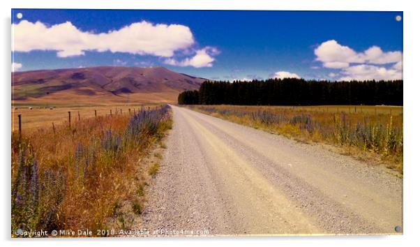 Gravel road across the Canterbury plains, New Zeal Acrylic by Mike Dale